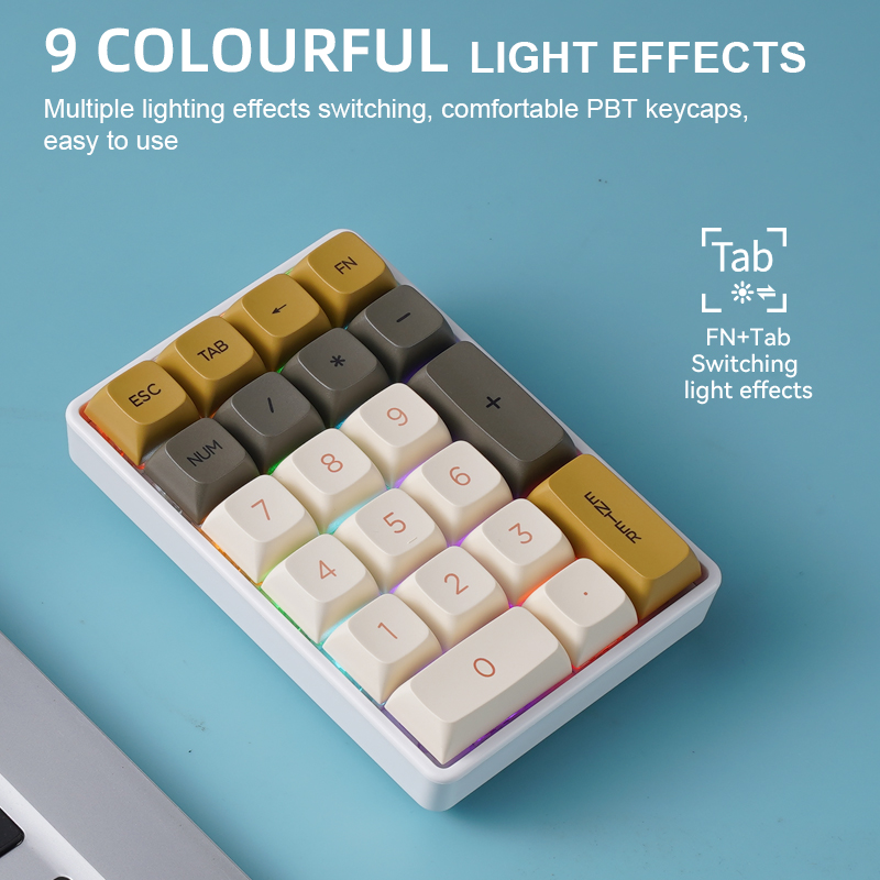 FREEWOLF K21 Wireless Mechanic - đánh giá và giá Mechanical Numpad Hot Swap Rgb Wireless